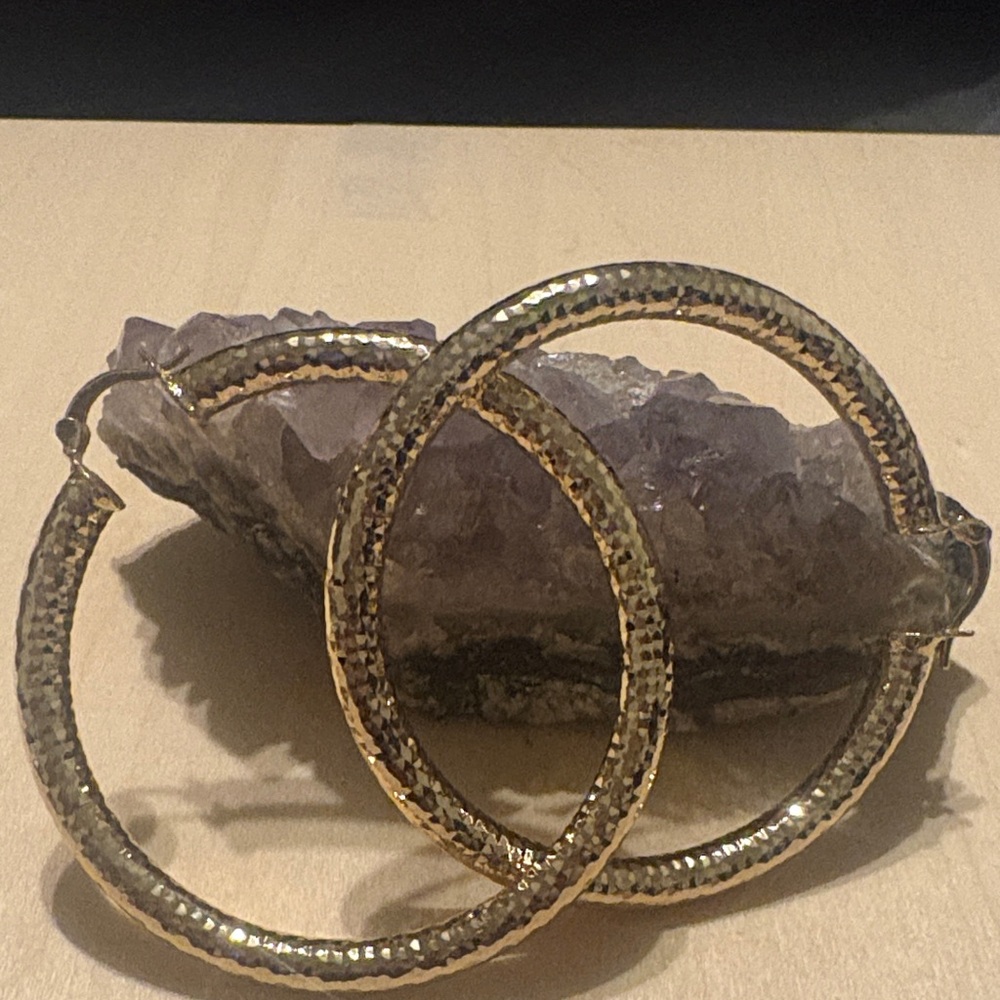 Elegant Gold Hoop Earrings